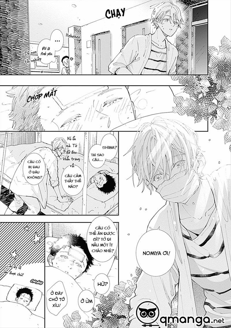 Nomi Và Shiba 2 trang 32