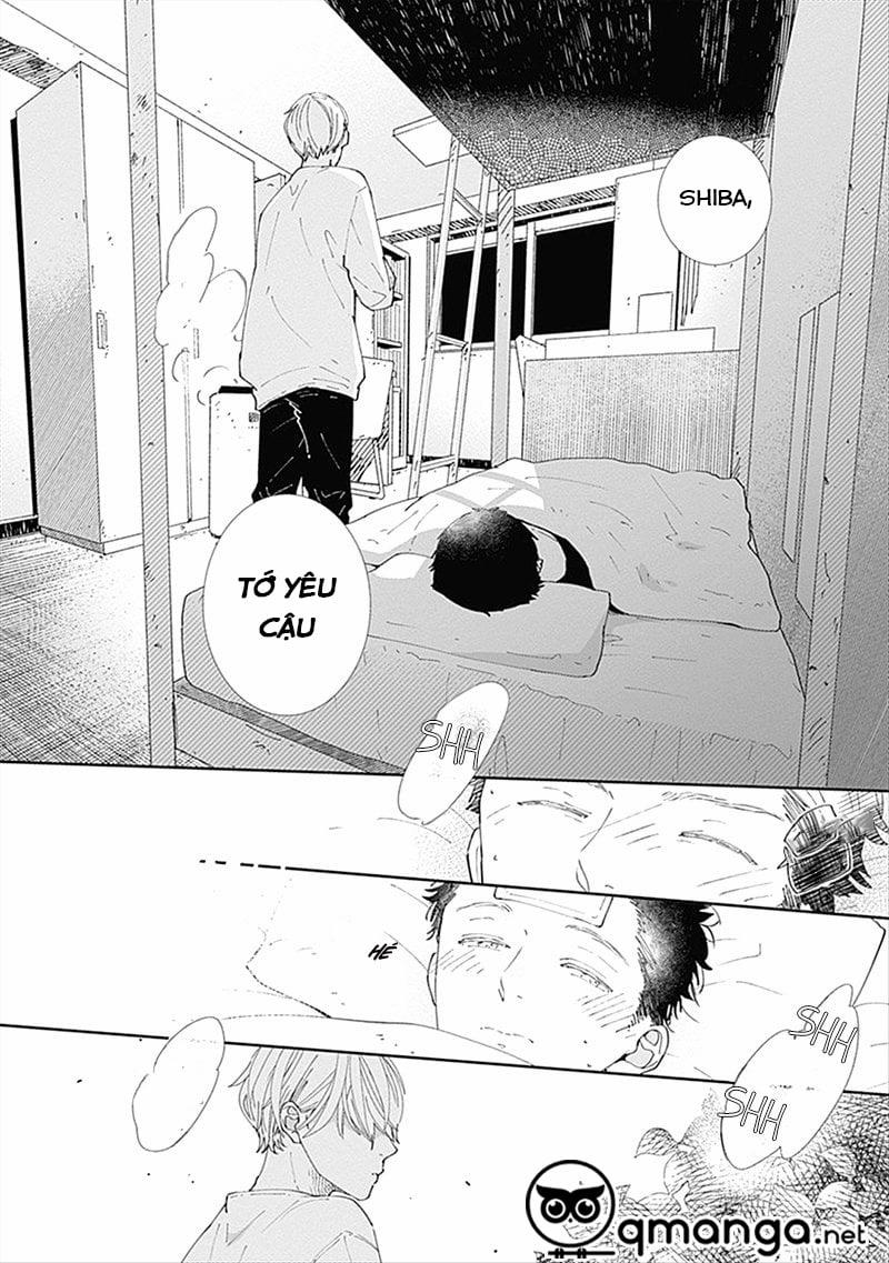 Nomi Và Shiba 2 trang 43