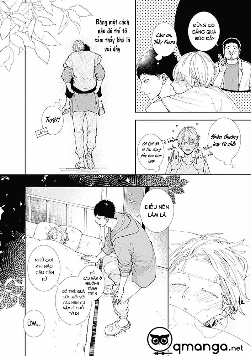 Nomi Và Shiba 2 trang 7