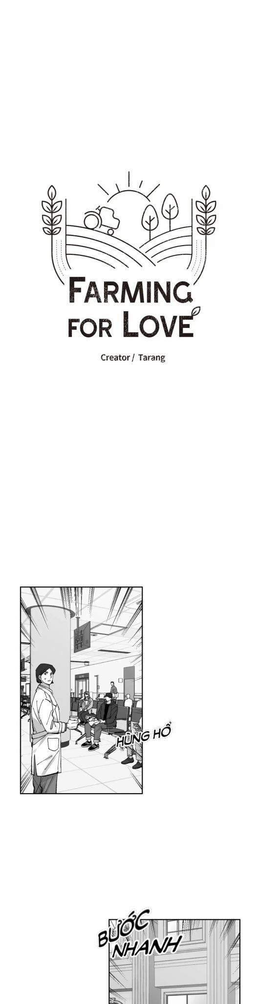 Nông trại tình yêu 26 trang 2