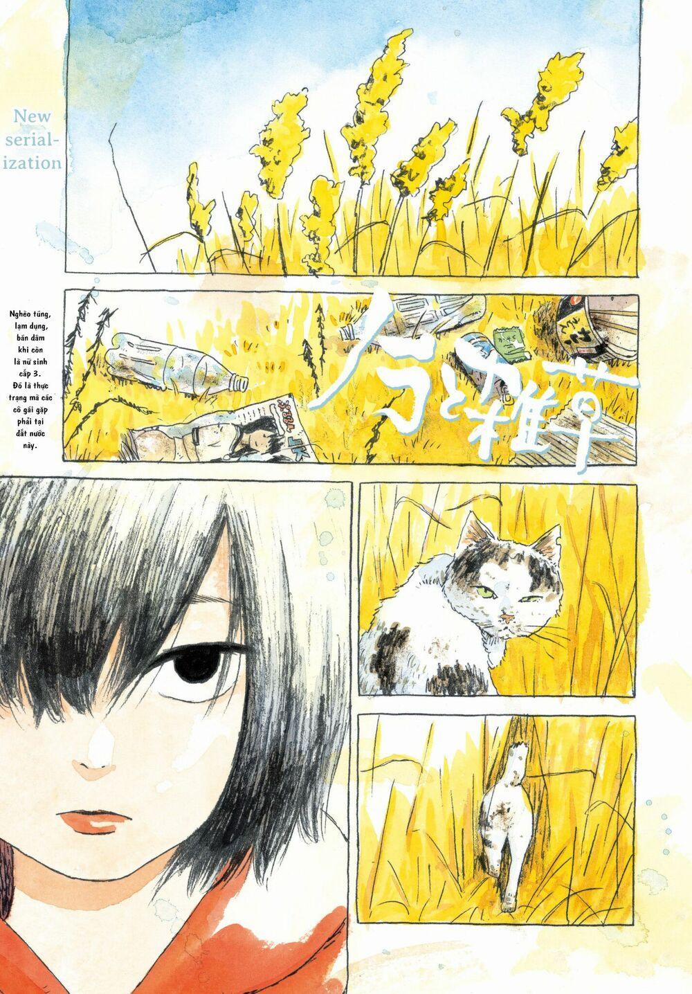 Nora To Zassou 1 trang 1