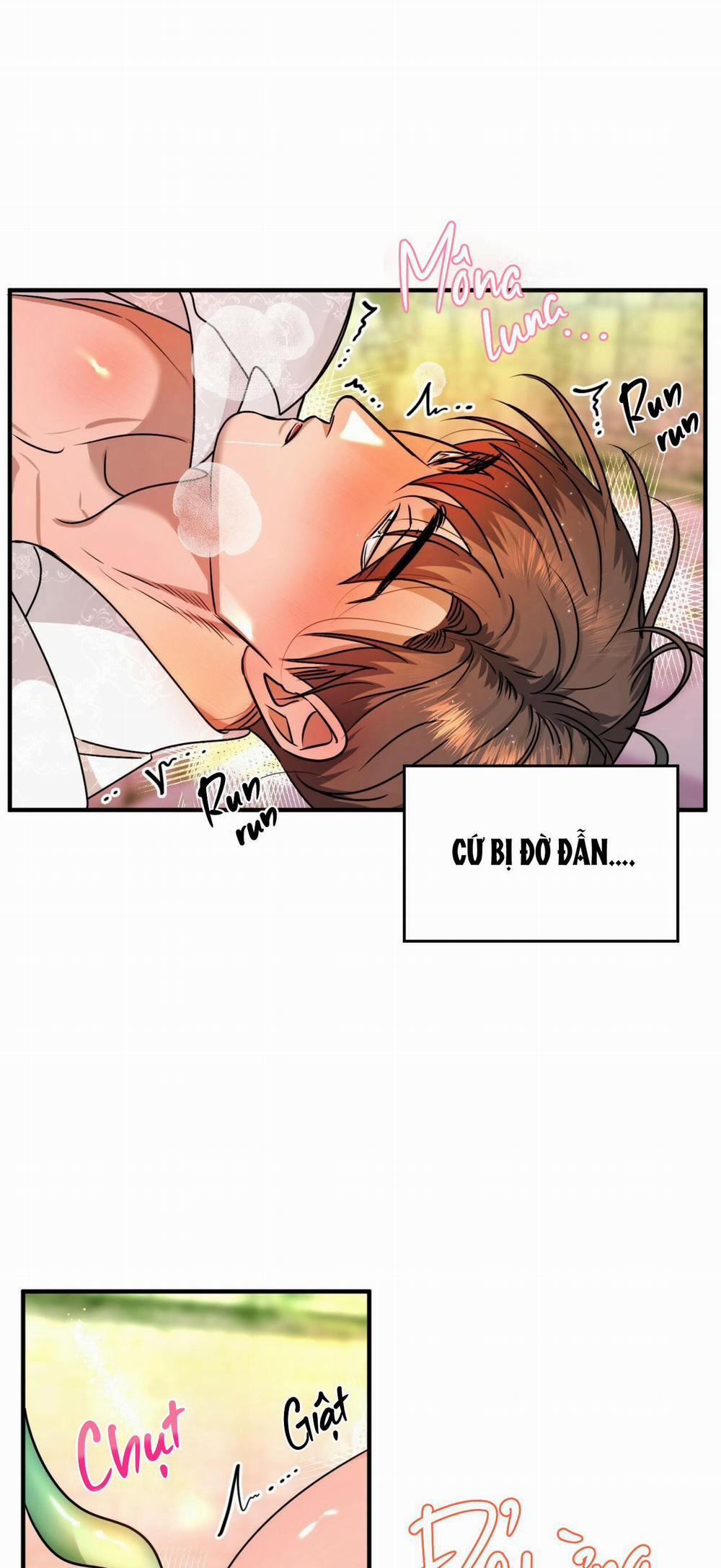 (Np) Độc Thân Muôn Năm 13 trang 41