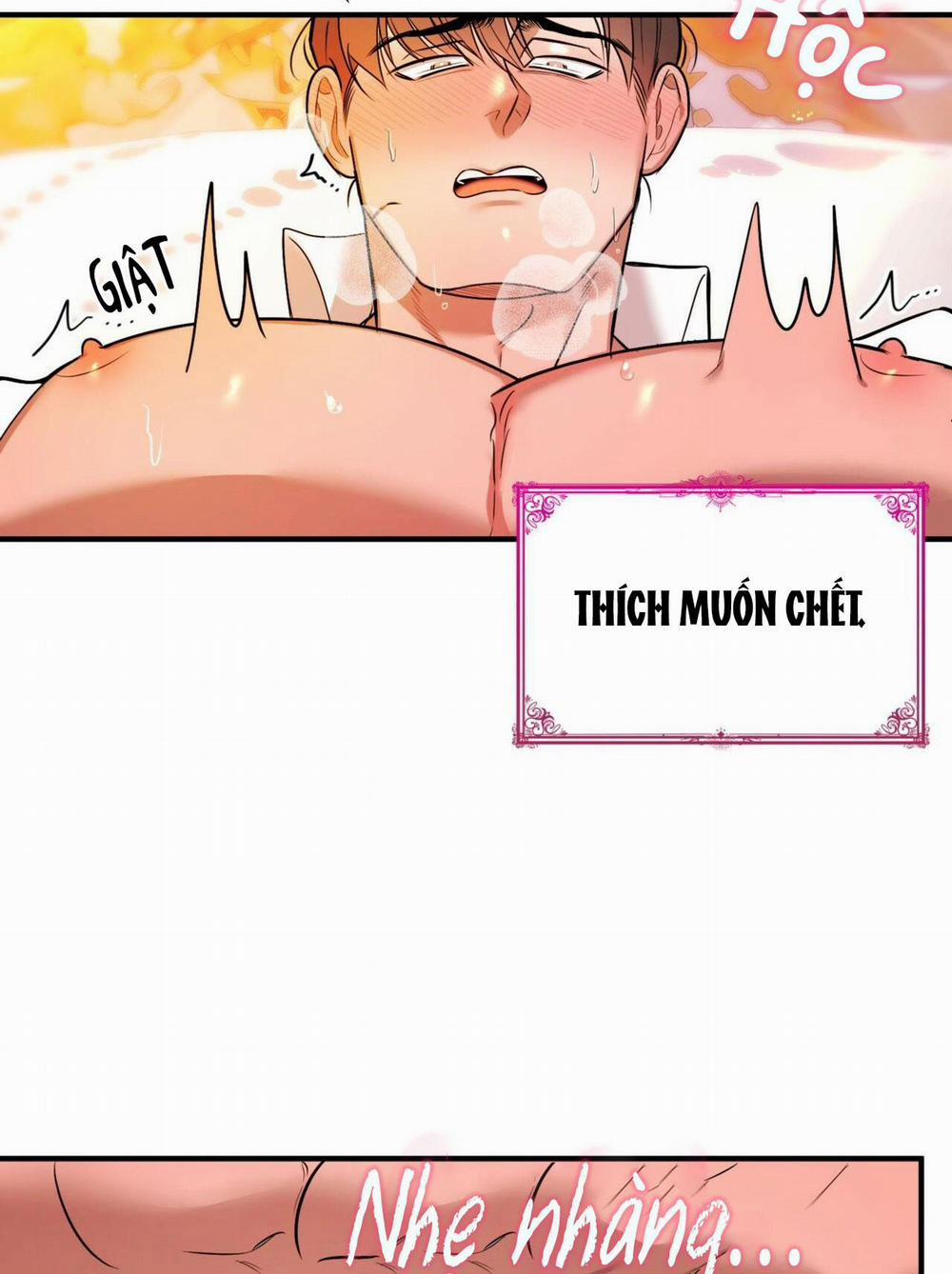 (Np) Độc Thân Muôn Năm 15 trang 7