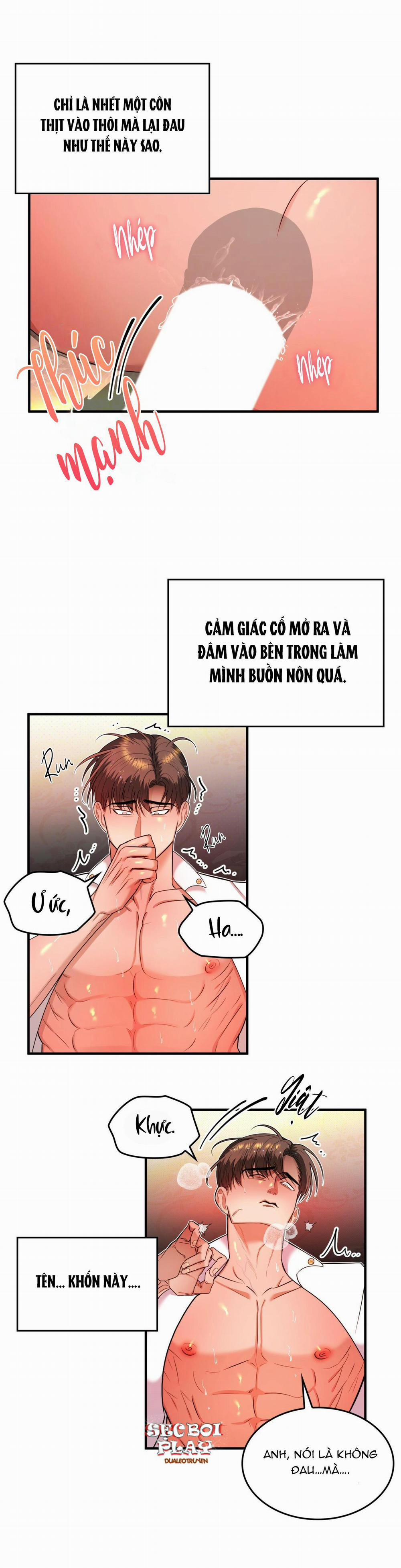 (Np) Độc Thân Muôn Năm 16 trang 1