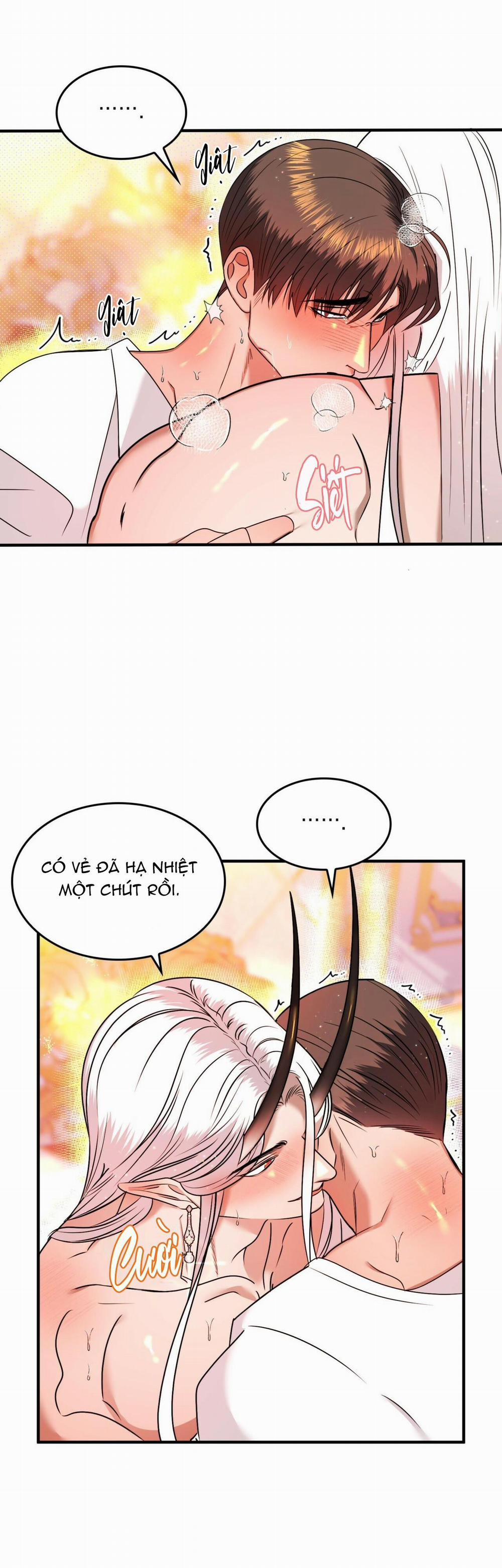 (Np) Độc Thân Muôn Năm 16 trang 29