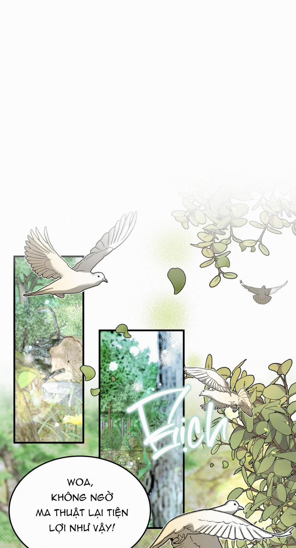 (Np) Độc Thân Muôn Năm 33 trang 2