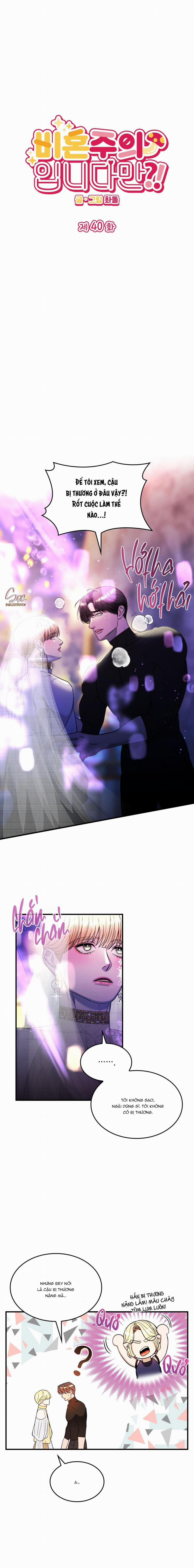 (Np) Độc Thân Muôn Năm 40 trang 0