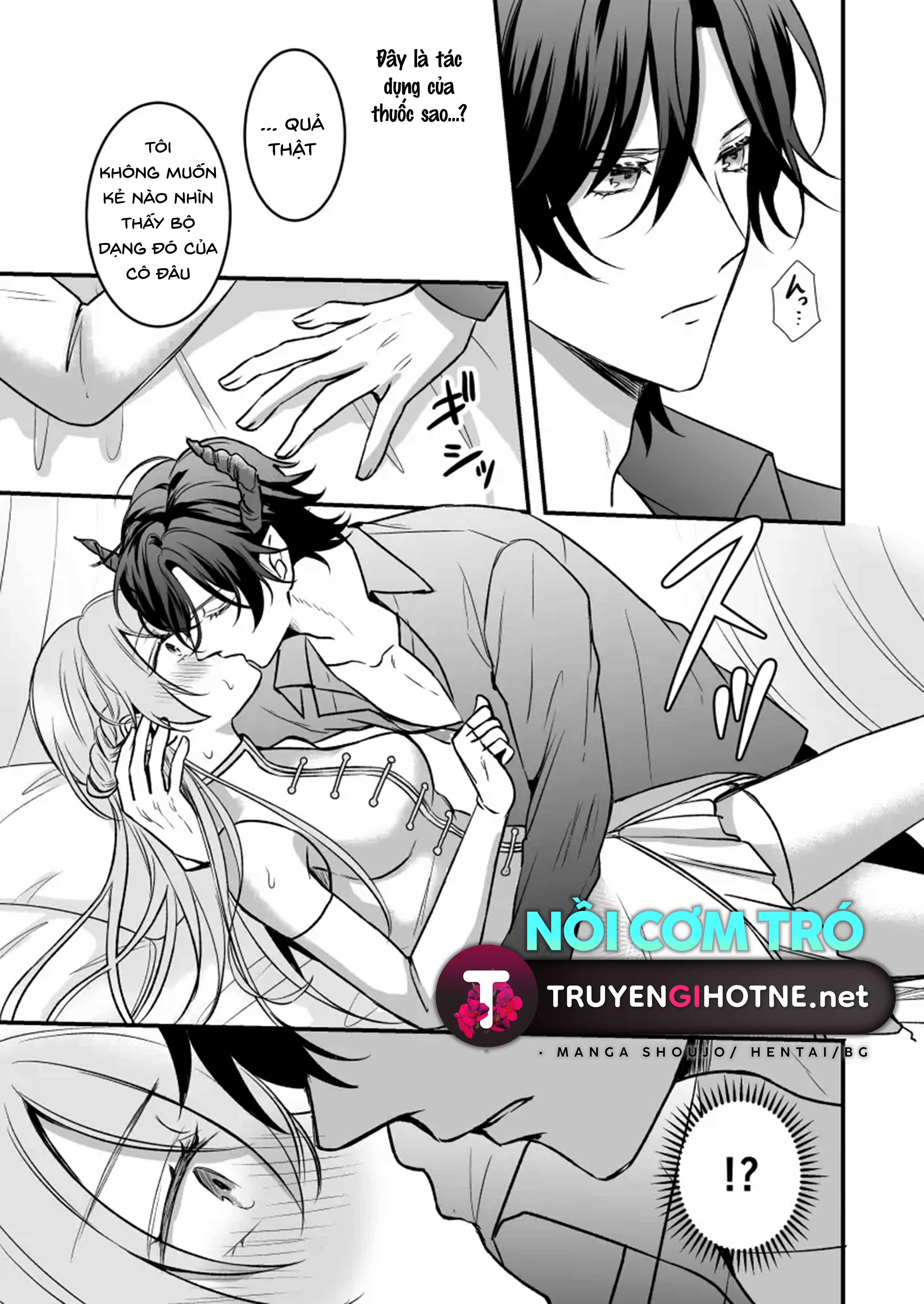 Nữ Anh Hùng Bị Ma Vương Cướp Đi Lần Đầu 2 trang 12