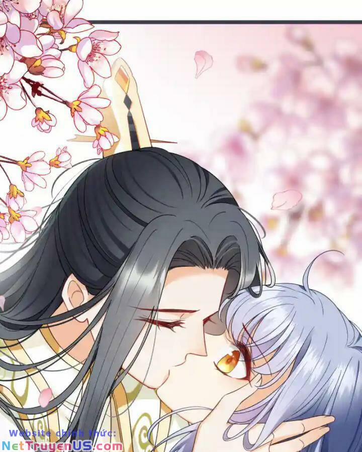 Nụ Cười Của Nàng Liền Ngọt Đảo Ta Tám Viên Nha 96 trang 46