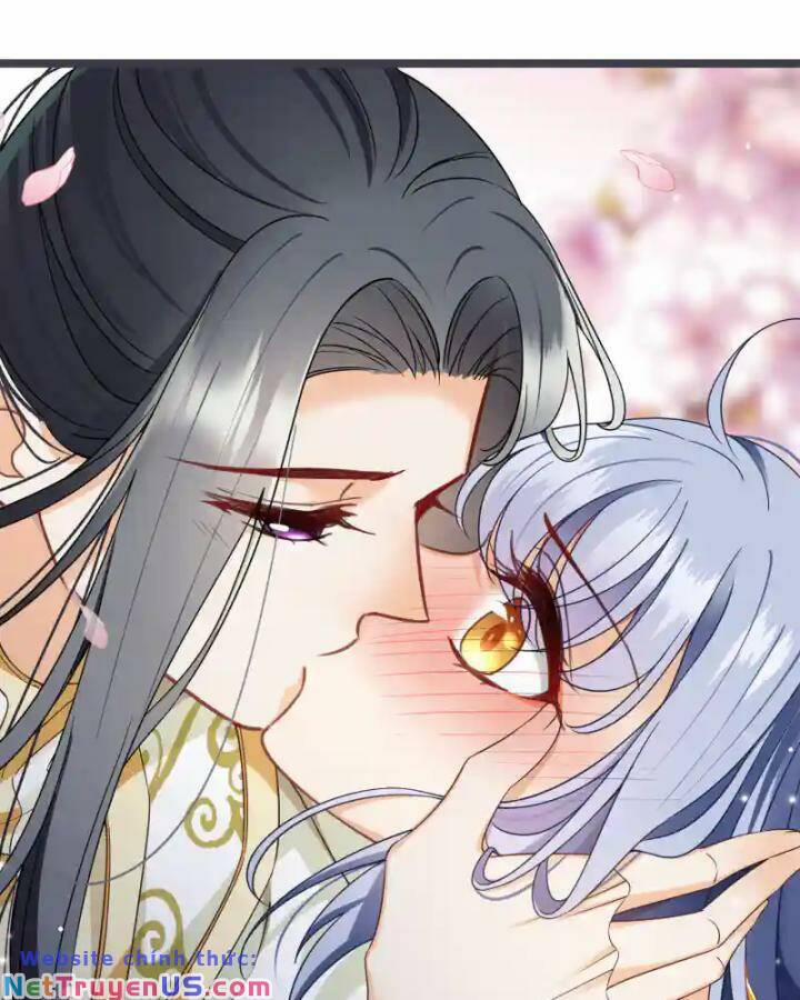 Nụ Cười Của Nàng Liền Ngọt Đảo Ta Tám Viên Nha 96 trang 49