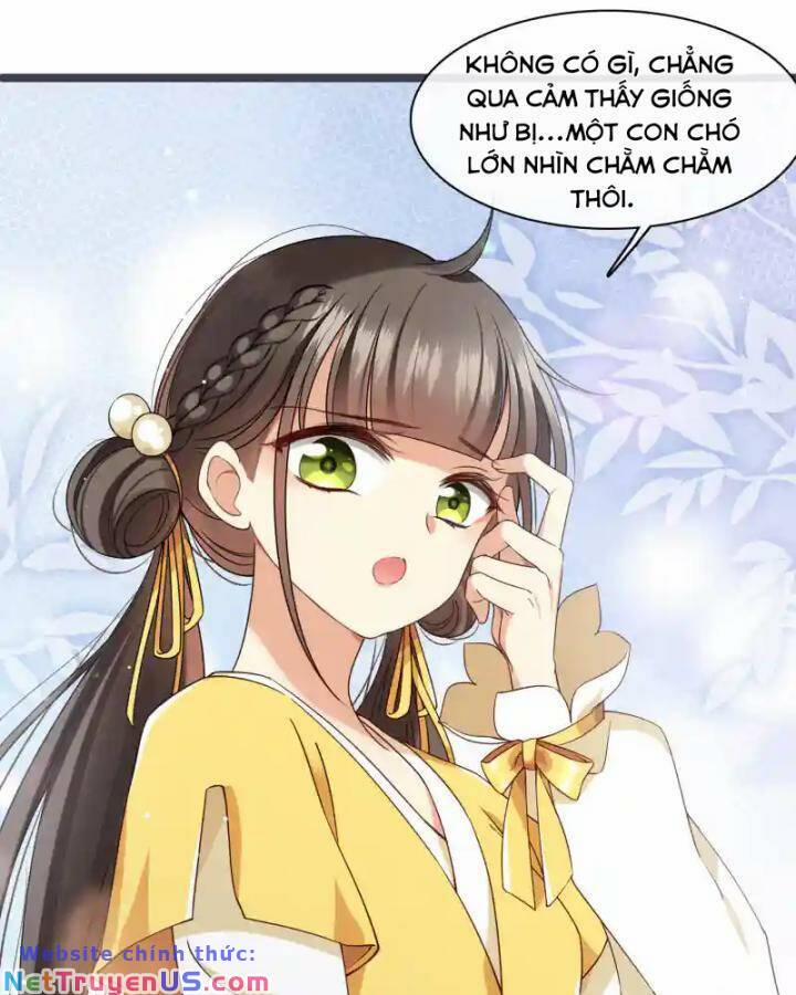 Nụ Cười Của Nàng Liền Ngọt Đảo Ta Tám Viên Nha 96 trang 69