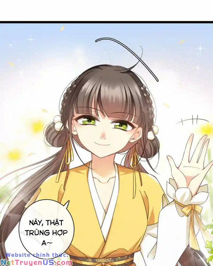 Nụ Cười Của Nàng Liền Ngọt Đảo Ta Tám Viên Nha 98 trang 5