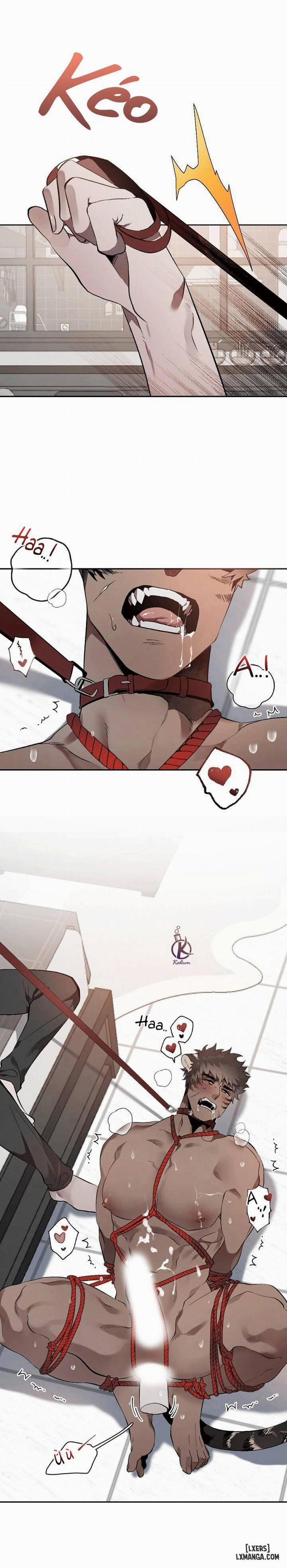 Nụ hôn ác mộng 3 trang 1