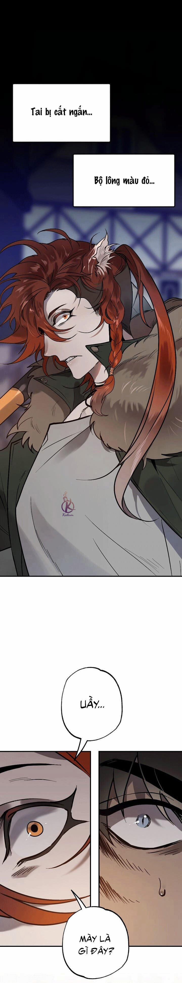 Nụ hôn ác mộng 5.5 trang 7