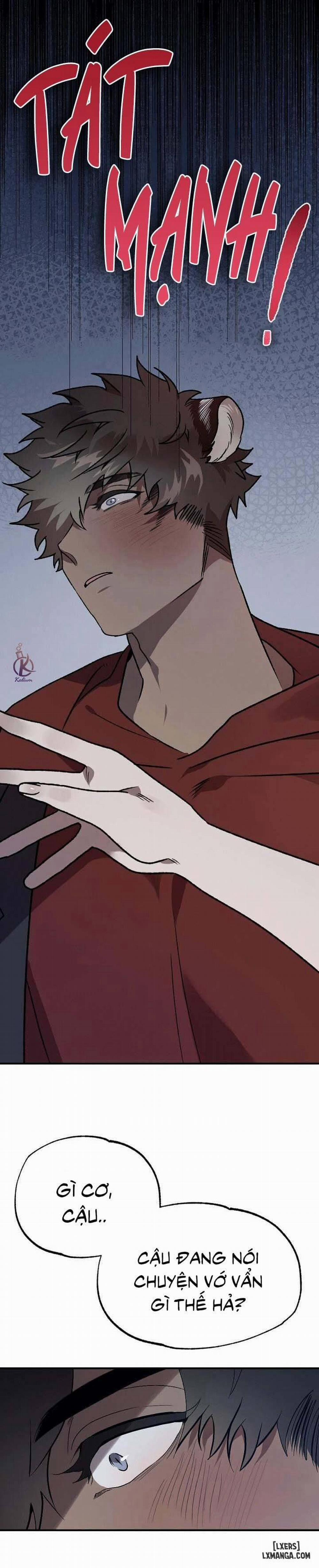 Nụ hôn ác mộng 8 trang 2