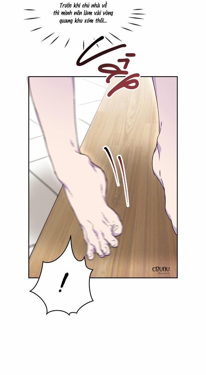 Nụ Hôn Chết Chóc 18 trang 97