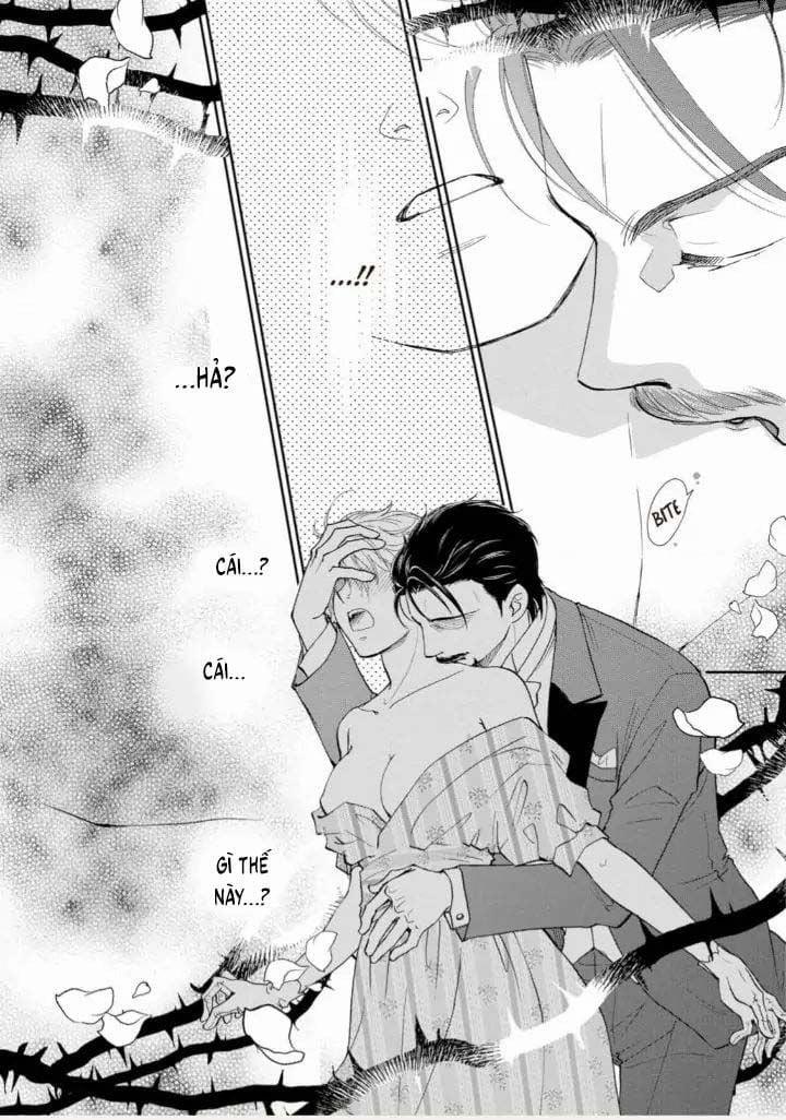 Nụ Hôn Ngọt Ngào Trên Đóa Hồng Đêm 1.2 trang 8