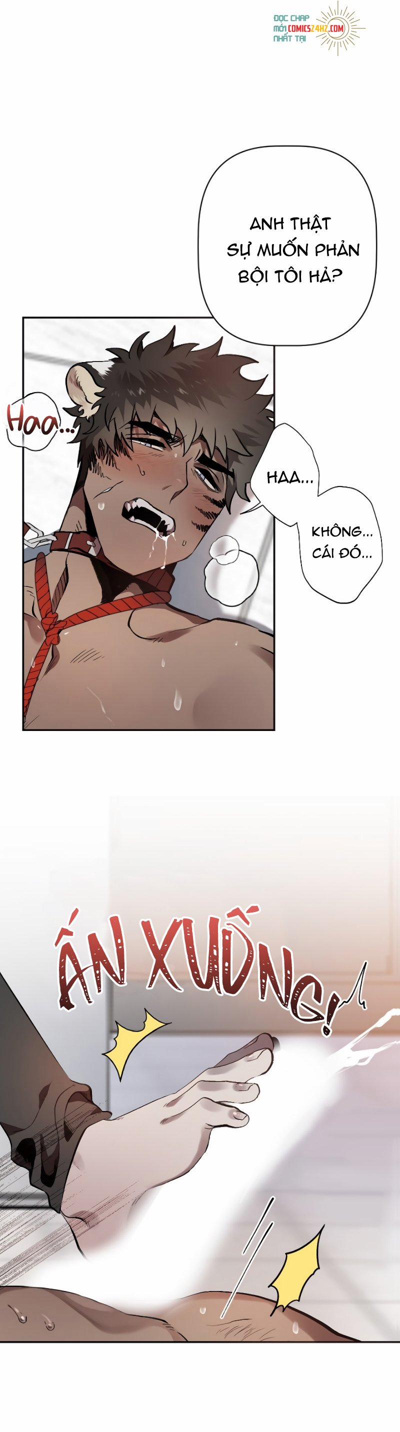 Nụ Hôn Tàn Bạo 3 trang 3
