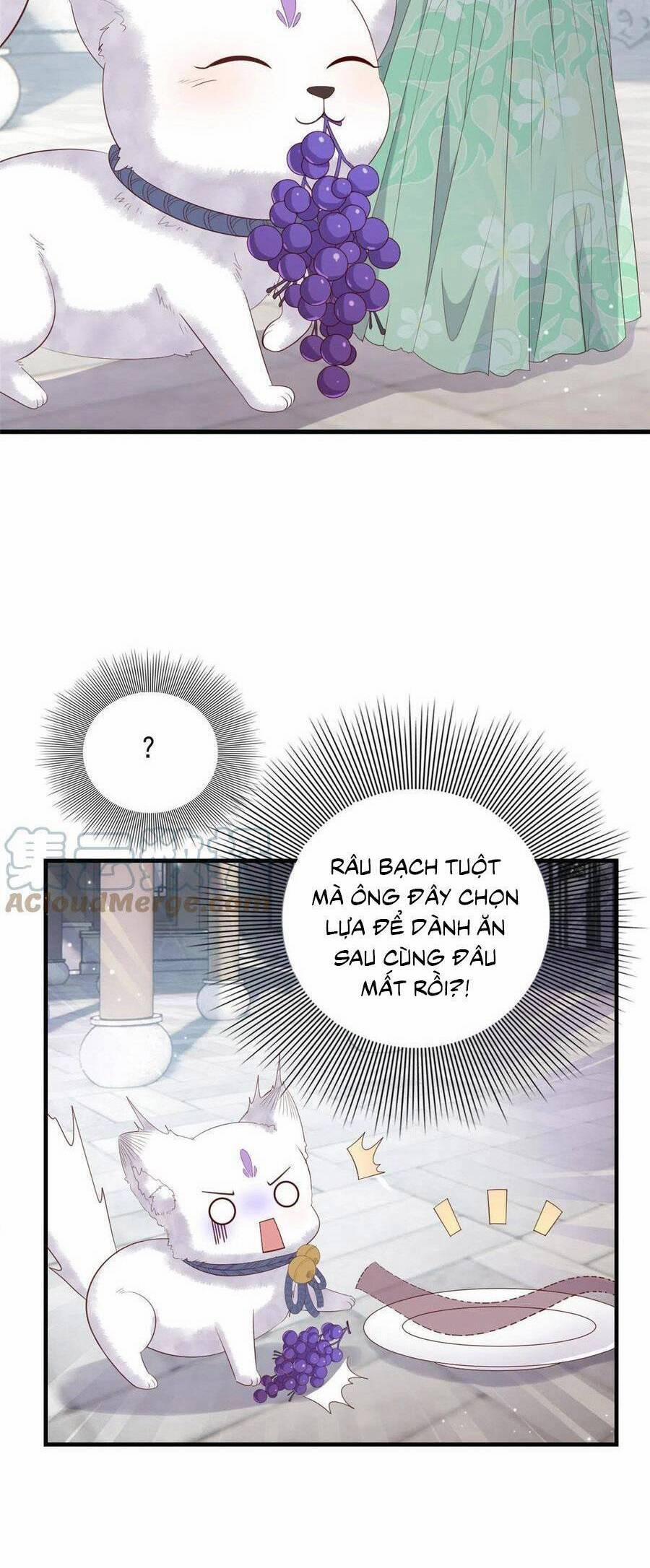 Nữ Phụ Không Thể Chọc Giận 111 trang 22