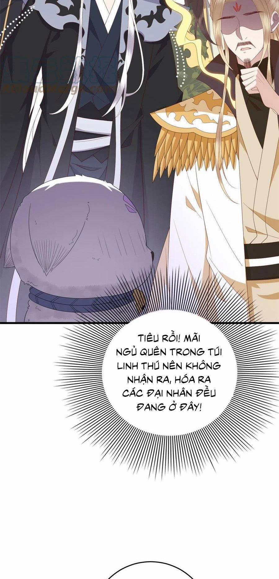 Nữ Phụ Không Thể Chọc Giận 118 trang 13