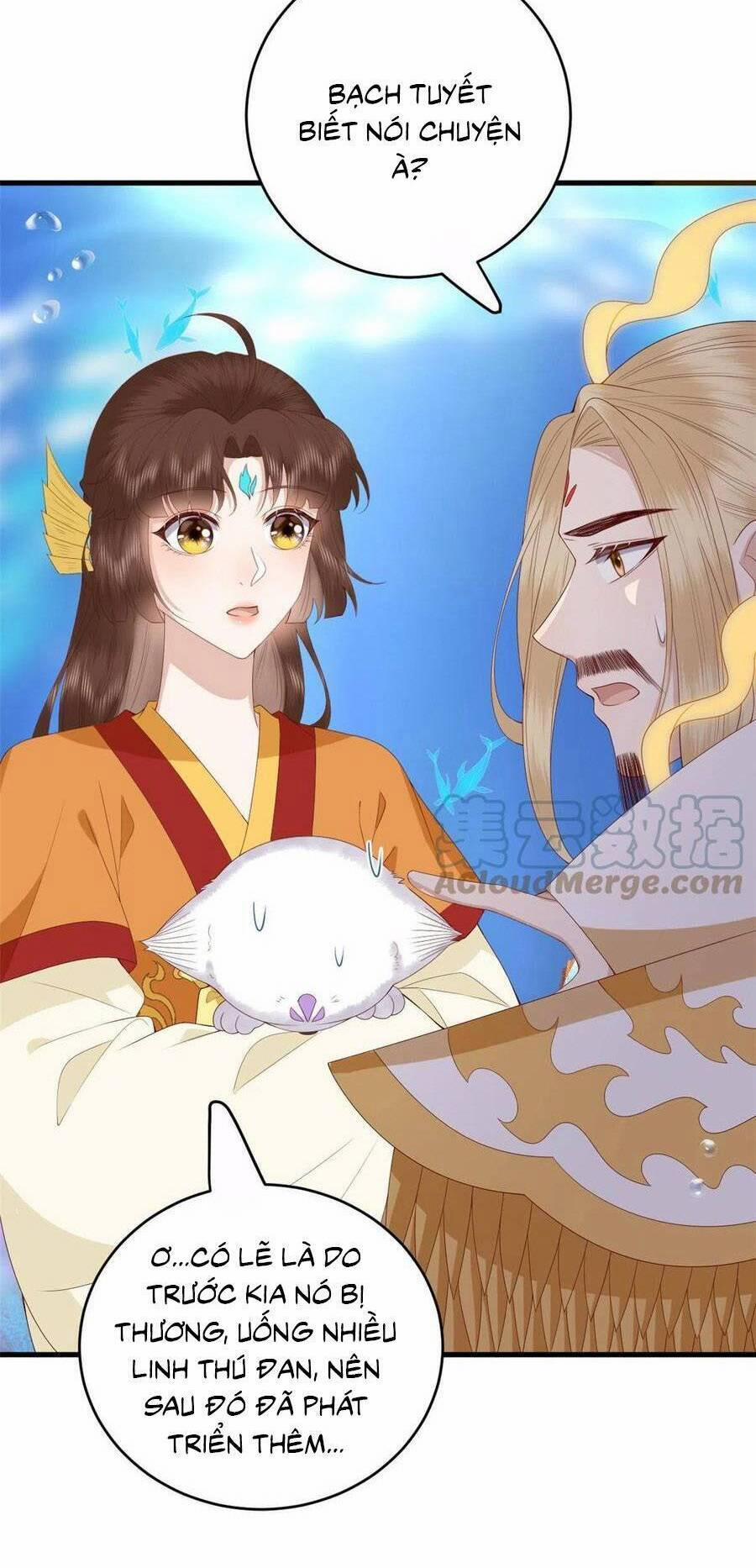 Nữ Phụ Không Thể Chọc Giận 118 trang 14