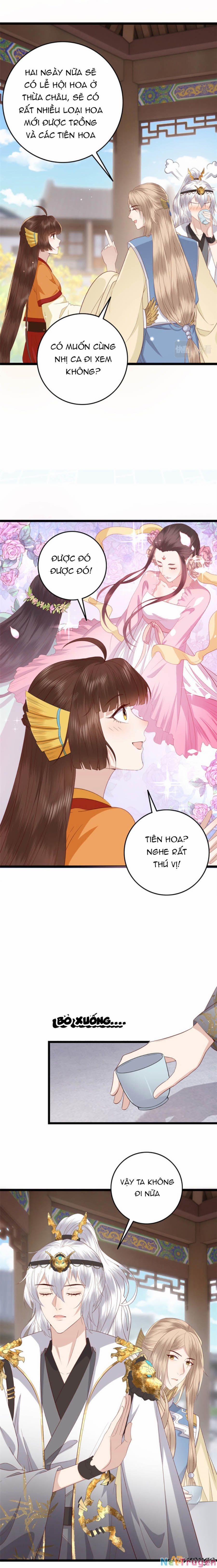 Nữ Phụ Không Thể Chọc Giận 7 trang 2