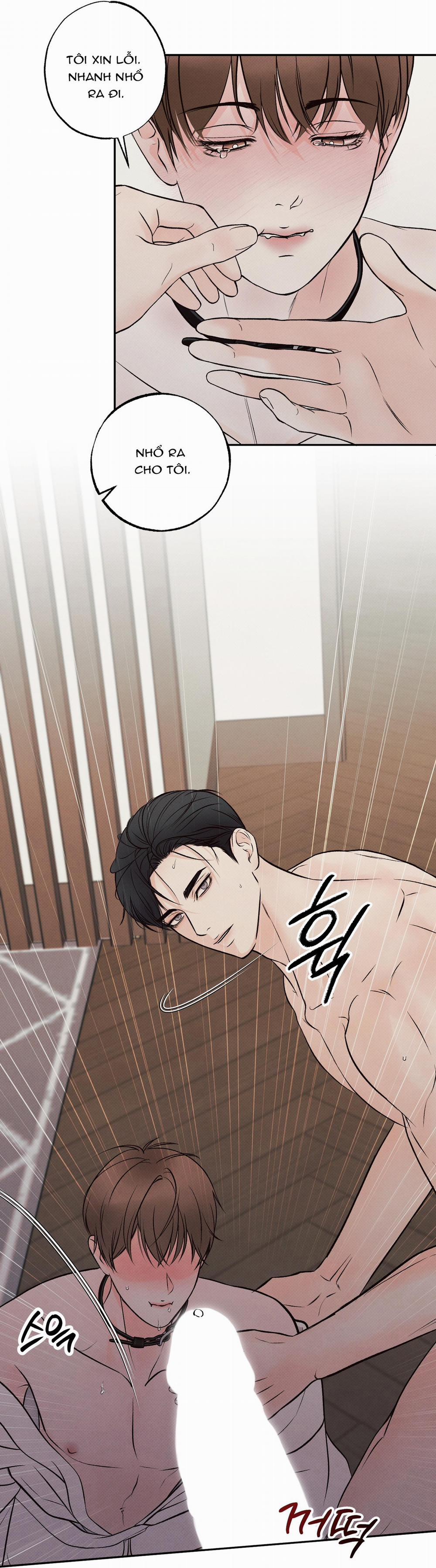 Nửa tỉnh nửa mê 3 trang 21