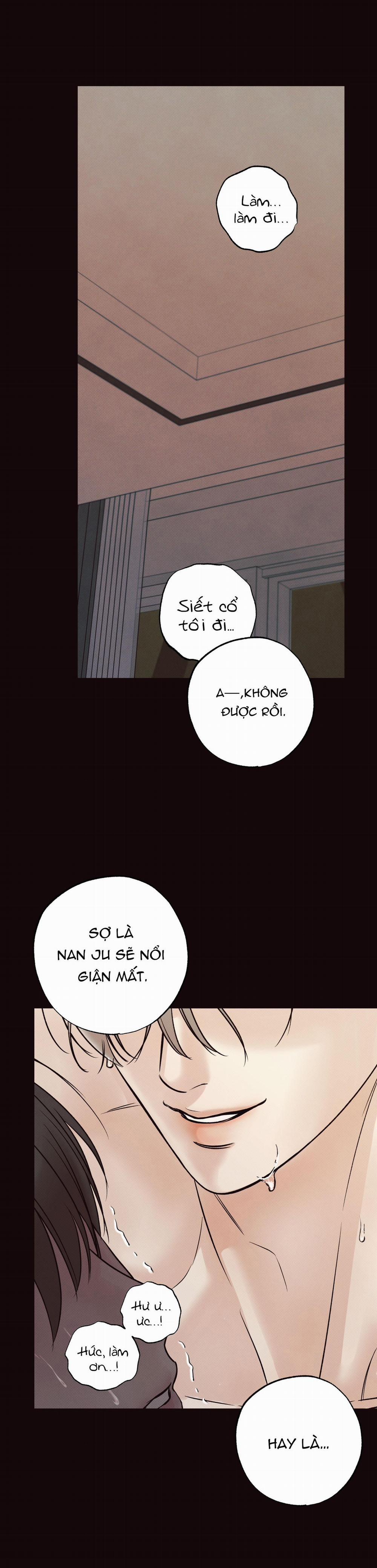 Nửa tỉnh nửa mê 8 trang 5