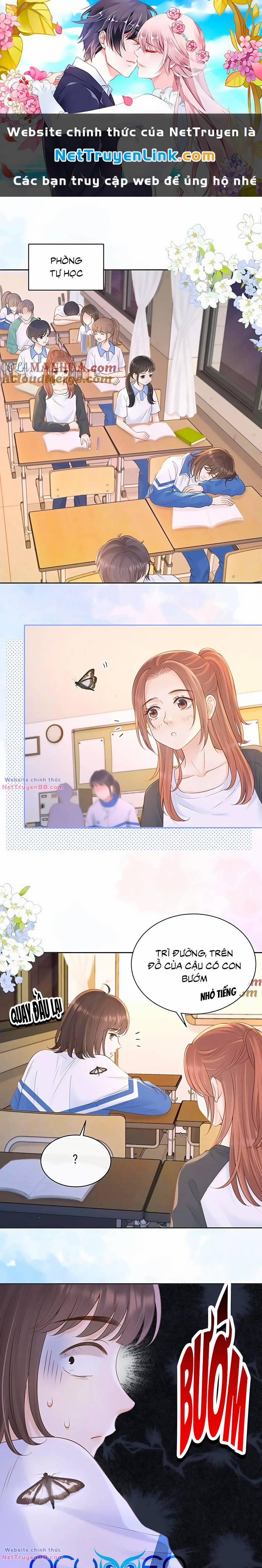 Núi Của Cô Ấy, Biển Của Cô Ấy 36 trang 0