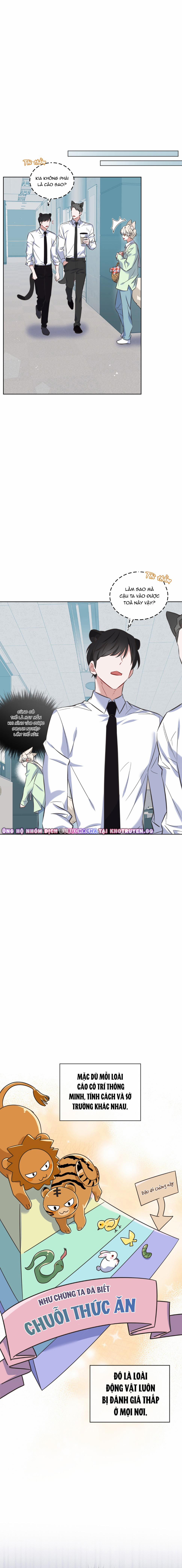 Nước Tăng Lực Của Cáo Flynn 1 trang 4