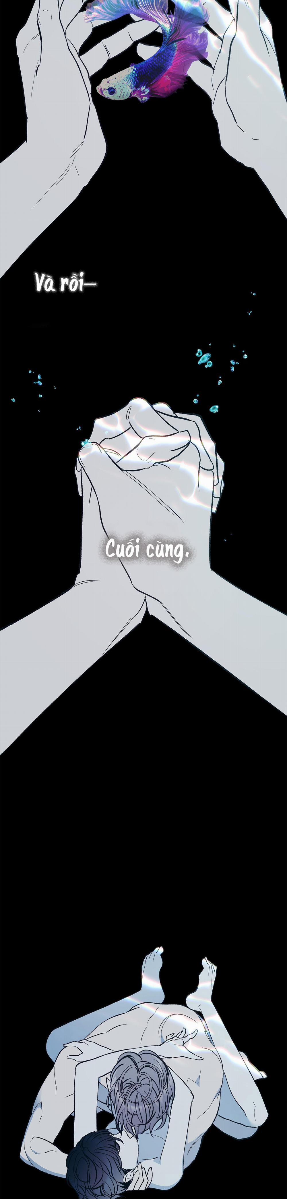 Nuôi Dưỡng Beta 10 END trang 26