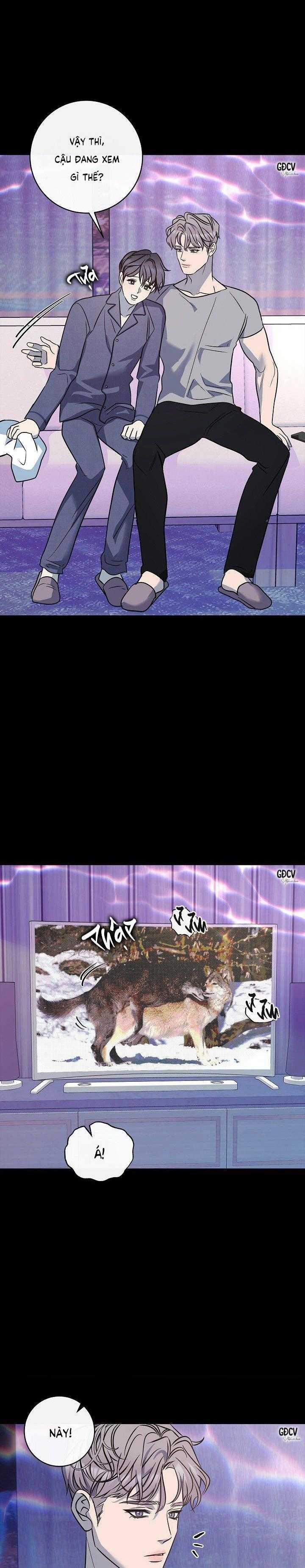 Nuôi Dưỡng Beta 12 trang 10