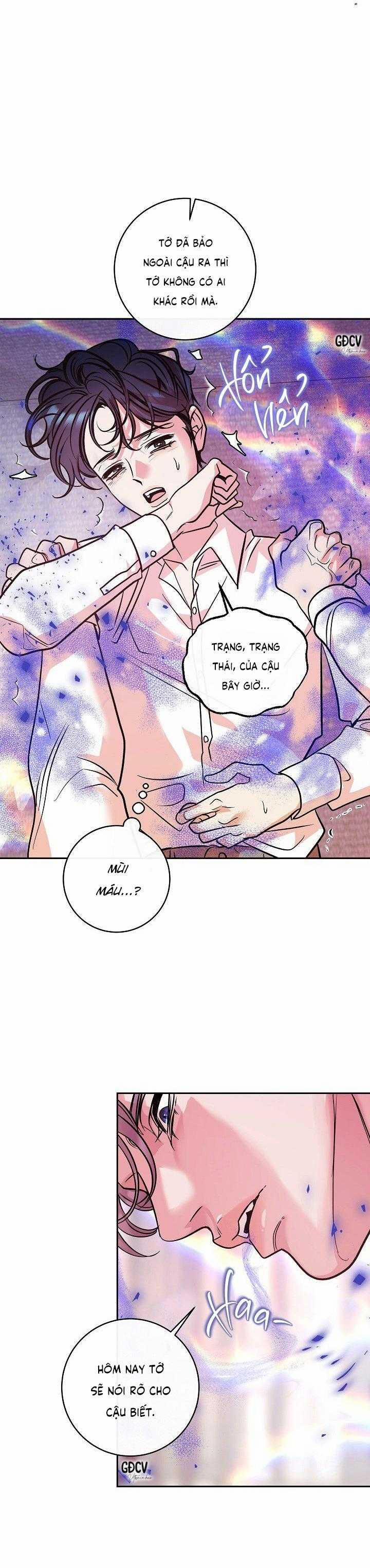 Nuôi Dưỡng Beta 13 trang 9