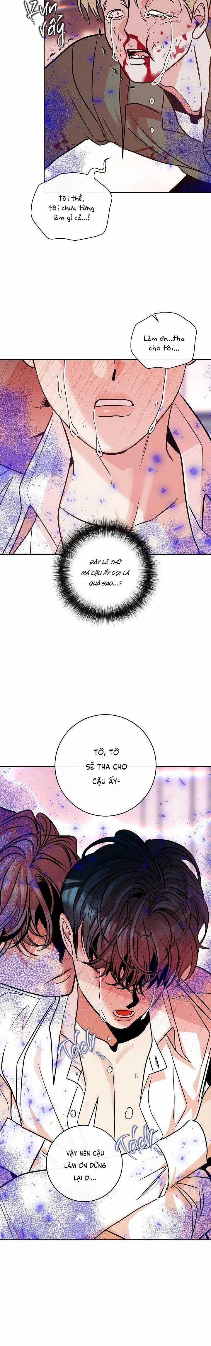 Nuôi Dưỡng Beta 14 trang 5