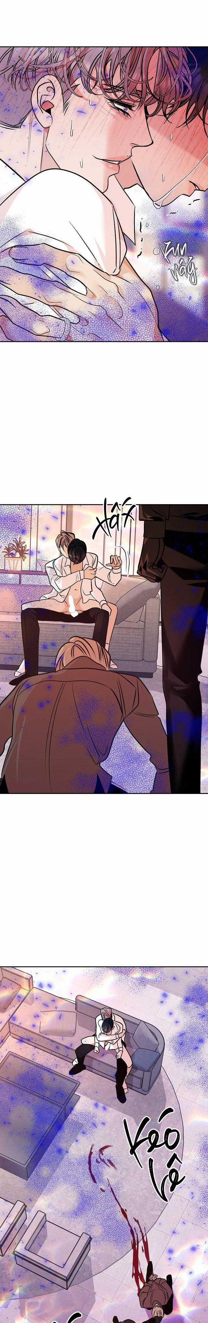 Nuôi Dưỡng Beta 14 trang 6