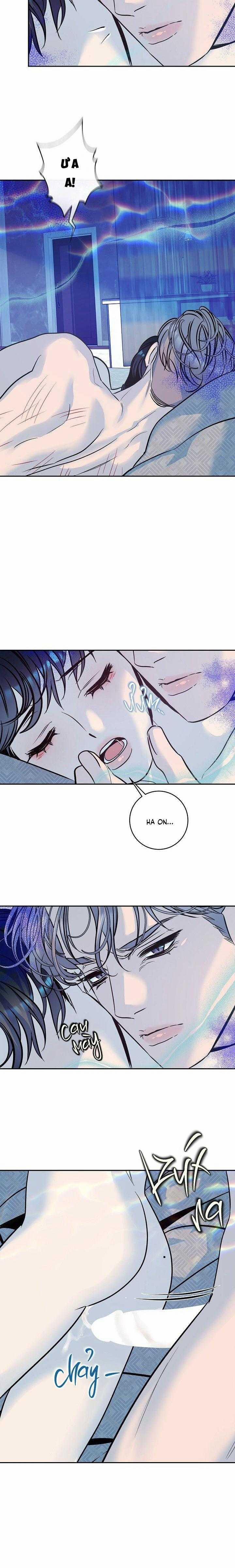 Nuôi Dưỡng Beta 15 trang 3