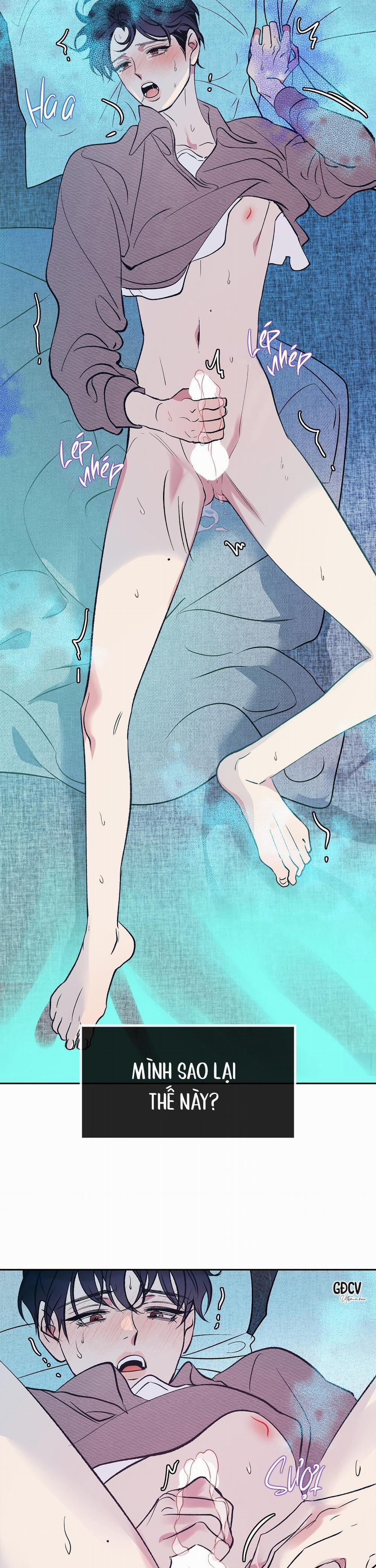 Nuôi Dưỡng Beta 2 trang 25