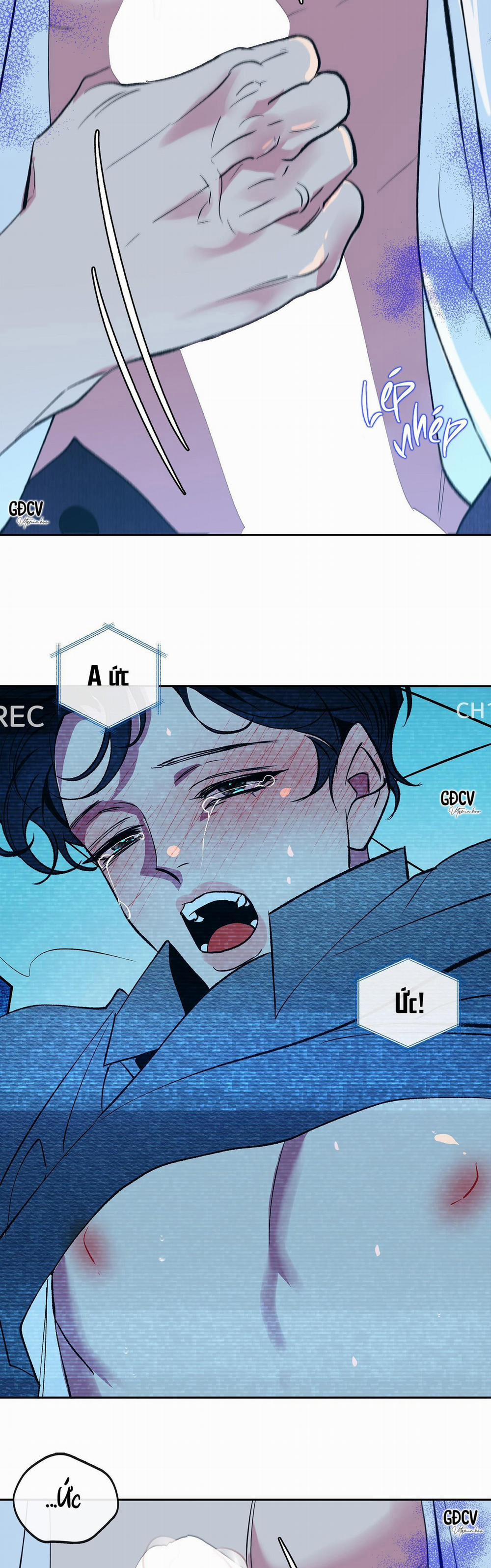 Nuôi Dưỡng Beta 2 trang 31