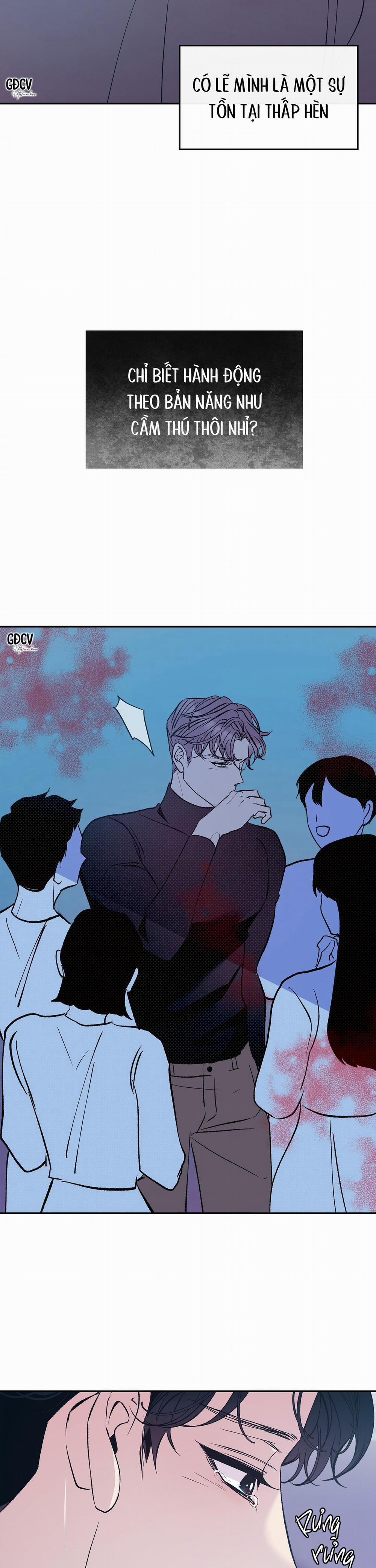 Nuôi Dưỡng Beta 3 trang 11