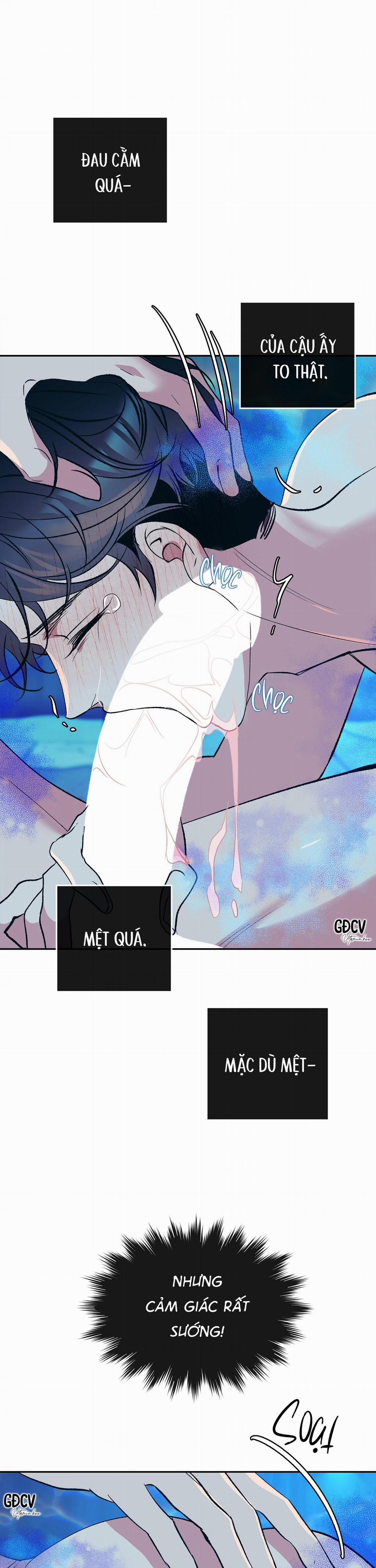 Nuôi Dưỡng Beta 4 trang 20