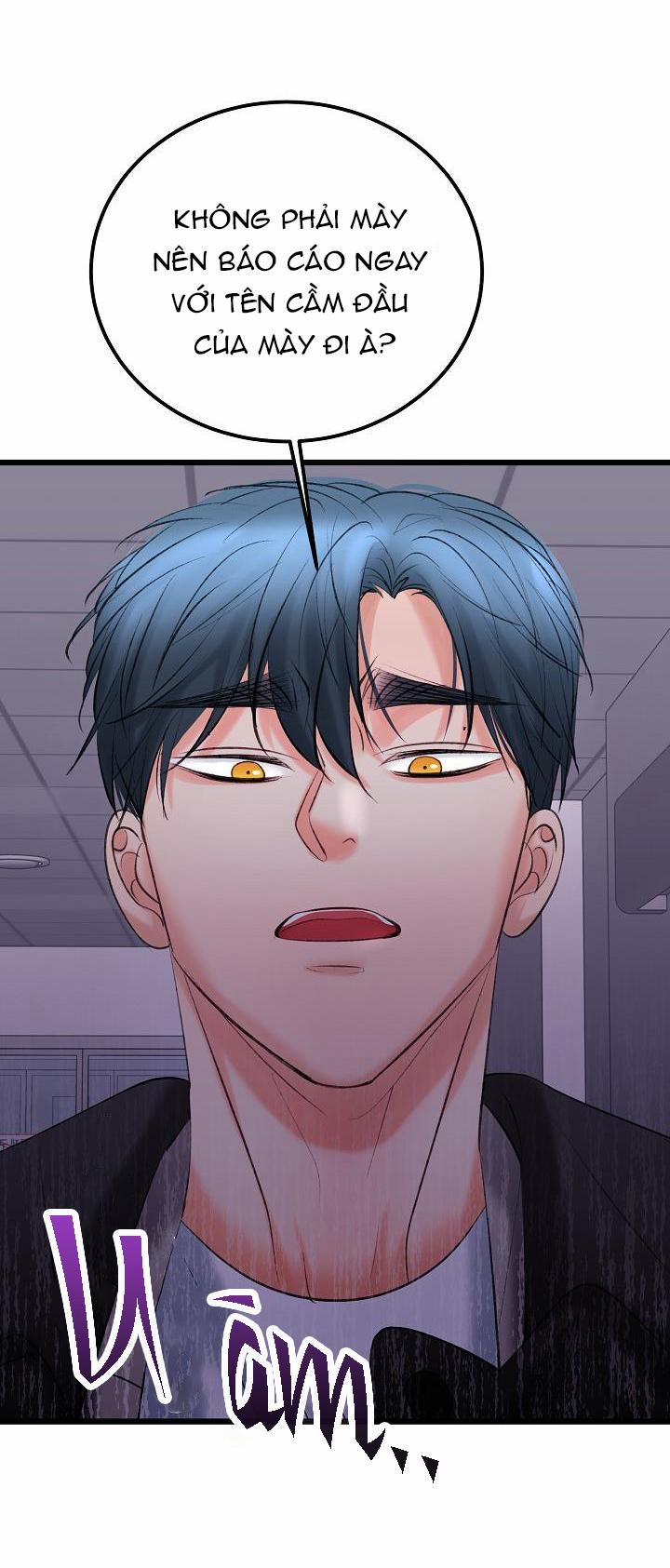 Nuôi dưỡng búp bê 31 trang 15