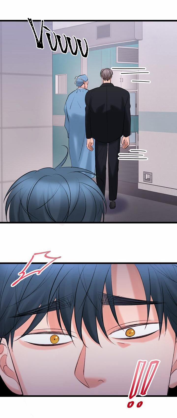 Nuôi dưỡng búp bê 31 trang 7