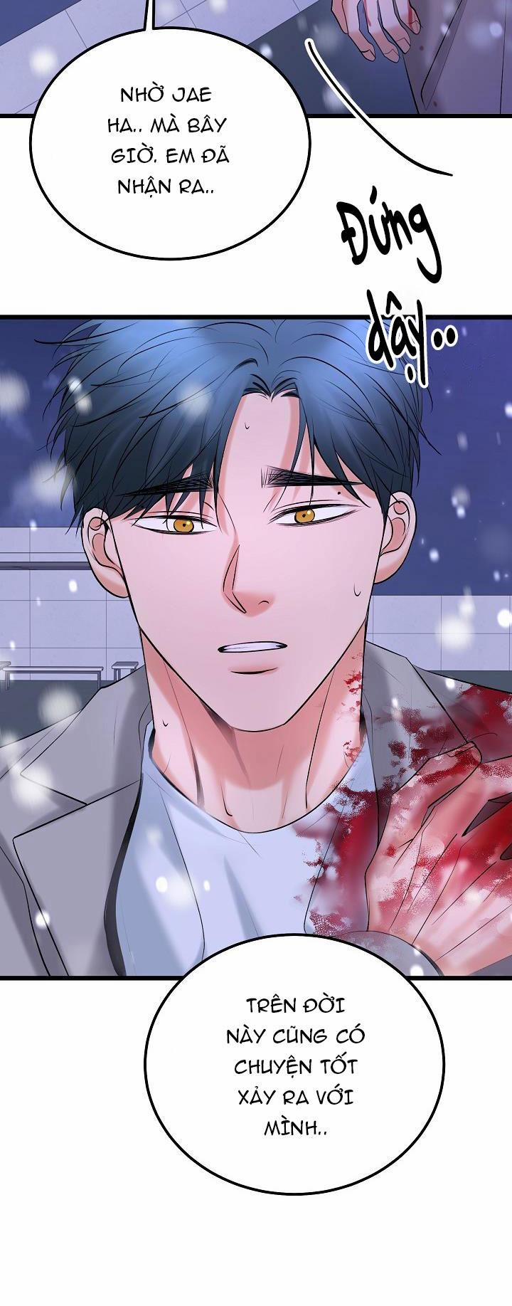 Nuôi dưỡng búp bê 32 end trang 5