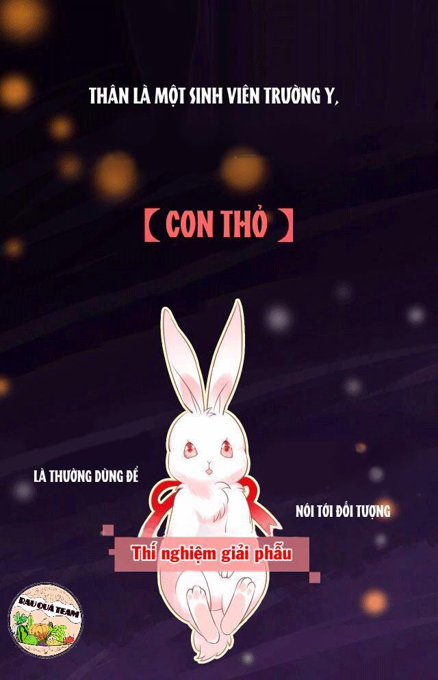 Nuôi Thỏ? Nam Chính Hắc Hóa Rồi! 1 trang 0