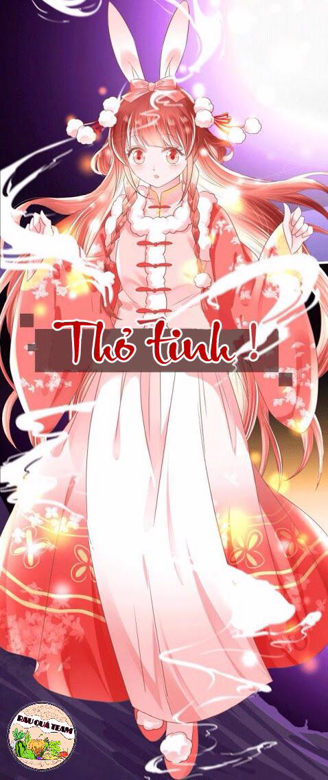 Nuôi Thỏ? Nam Chính Hắc Hóa Rồi! 1 trang 2