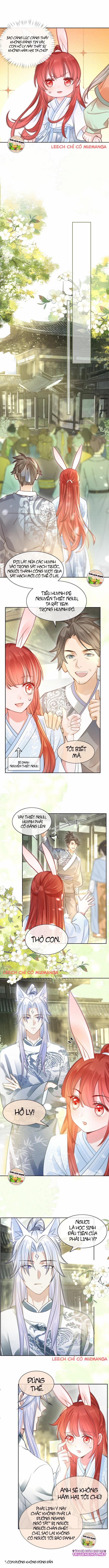 Nuôi Thỏ? Nam Chính Hắc Hóa Rồi! 10 trang 2