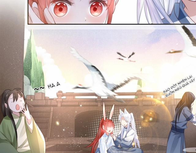 Nuôi Thỏ? Nam Chính Hắc Hóa Rồi! 11 trang 25