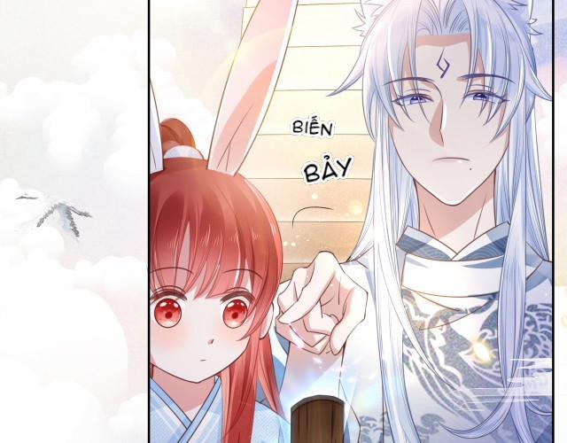 Nuôi Thỏ? Nam Chính Hắc Hóa Rồi! 11 trang 63