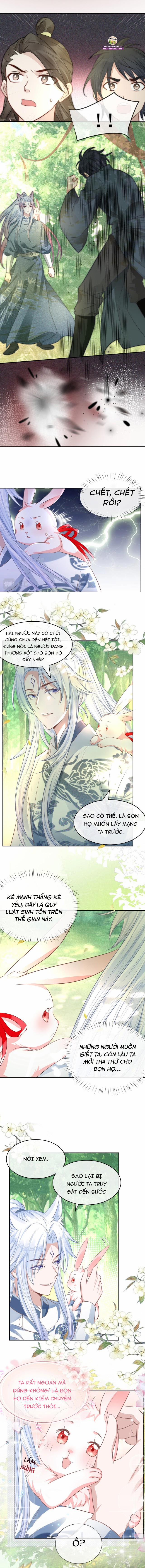 Nuôi Thỏ? Nam Chính Hắc Hóa Rồi! 13 trang 4