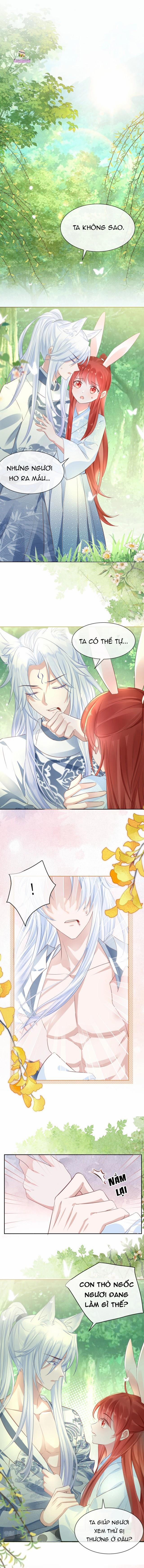 Nuôi Thỏ? Nam Chính Hắc Hóa Rồi! 15 trang 0